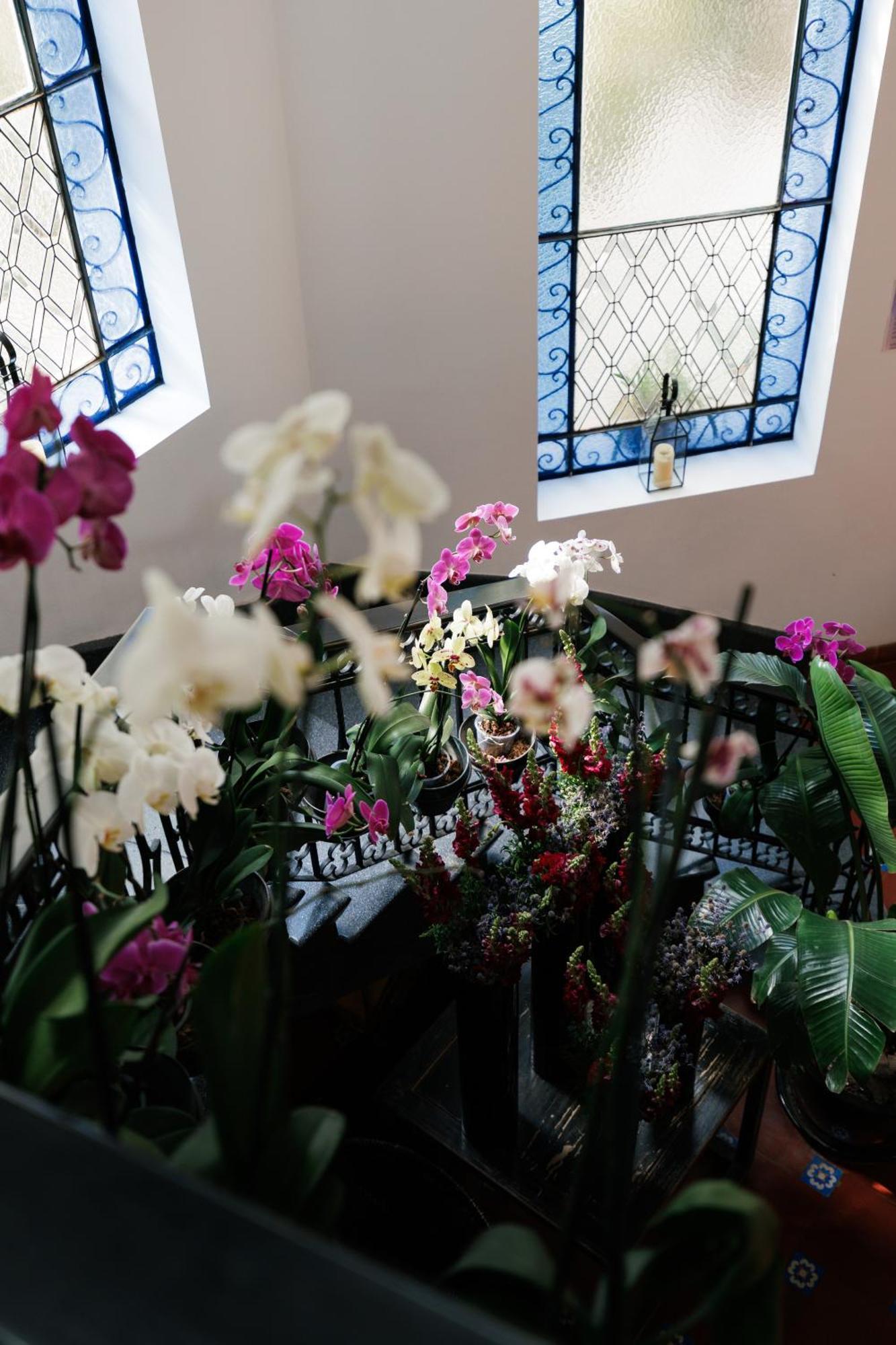 Orchid House Polanco Hotel เม็กซิโกซิตี้ ภายนอก รูปภาพ